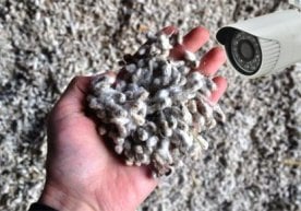 21 январь куни «Касби пахта тозалаш» акциядорлик