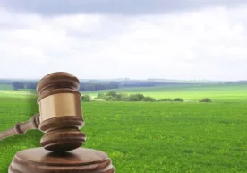 Ўзбекистонда қатор шахсларга ер участкалари аукционсиз