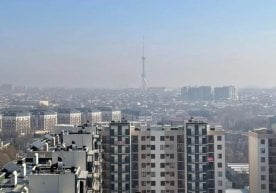 Ўзбекистонда август ойининг сўнгги ҳафтаси иссиқ ва қуруқ
