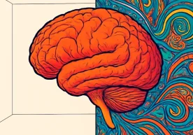 Олимлар аниқлашича, инсон мияси танадаги энг энергия талаб