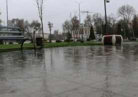 Ўзбекистонда қишнинг охири “баҳор режими”ни ёқиб турган