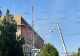 Фото: Тошкент вилояти ҳокимлиги Тошкент вилояти ҳокимлиги