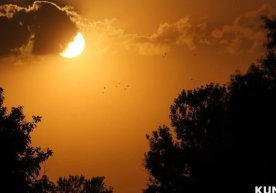 Ўзбекистон ҳудудларига жазирама иссиқлар босқичма-босқич