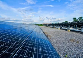 Япониялик мутахассислар қуёш батареясининг фойдали иш