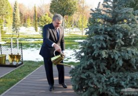 Markaziy Osiyo davlatlari prezidentlari Toshkentda ko‘chatlar ekishdi (foto) фото