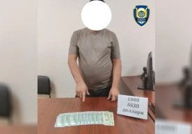 Ülkemizde yolsuzluk ve dolandırıcılık gibi suçlara karşı