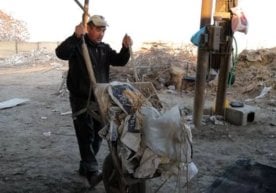 Тошкент вилоятининг Янгийўл туманида ўтказилган экологик