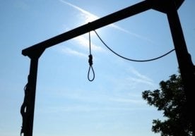 Шимолий Кореяда бизнеси югурдак ривожланганидан кейин