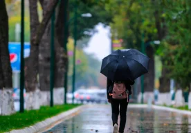 Ўзгидромет 14 декабрь куни кузатиладиган об-ҳаво