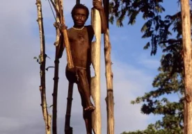 Бу қабила «Қоравой» ёки «Колуфо» деб аталади. Улар