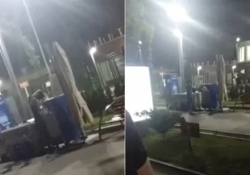 Тошкентдаги “Экопарк” ҳудудида музқаймоқ сотувчи тоза