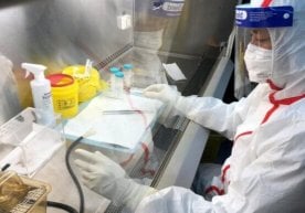 Koronavirusga chalingan ilk bemor Uxandagi laboratoriya xodimi ekanligi ma’lum qilindi фото