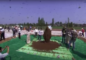 Foto: «Youtube.com» Xitoyning Szyansi provinsiyasi Ichun