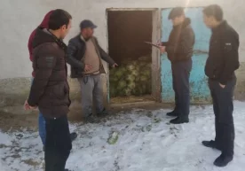 Фото: Тергов департаменти Тошкент вилояти Бекобод туманида