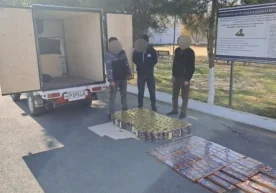 “Xavfsiz va sog‘lom yurt” tezkor-profilaktik tadbiri