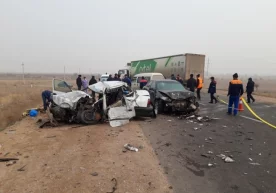 Жорий йилнинг 11 декабрь куни соат 12:25да “Қамчиқ”