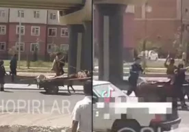 Ижтимоий тармоқларда Тошкентнинг Сергели туманида эшак