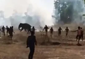 Ҳиндистоннинг Шарқий Жаркҳанд штатида подадан ажралиб