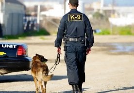 Кентукки штати полицияси байрам қутиларига яширилган 25