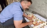 Россиянинг Новосибирск вилояти ветеринар ва фитосанитар