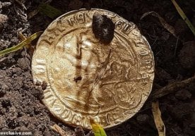 Karantinda zerikib qolgan ayol bog‘idan qadimiy xazina topib oldi фото