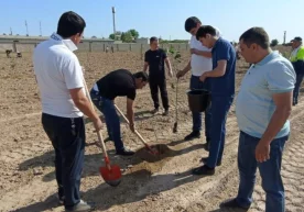 Юртбошимиз ташаббуслари билан жорий йилнинг 2 ноябрь куни
