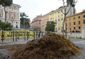 Foto: AFP Extinction Rebellion harakati faollari norozilik