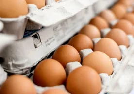 Eggs are considered one of the products rich in protein,