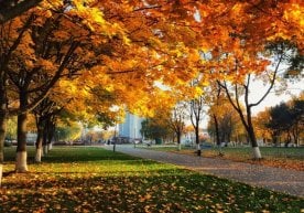 Ўзгидромет маълумотига кўра, ноябрь ойи бу йил совуқ ва