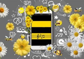 Beeline “Менинг мусиқам” (Ring Back Tone (RBT) – кутиш
