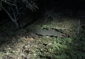 Россиянинг Владимир вилоятида рўй берган dahshatli jinoyat