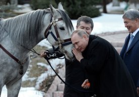 Atambaev Putinga arg‘umoq sovg‘a qildi (Foto) фото