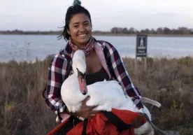 Фото: «Домашний очаг» Wild Bird хайрия фондининг собиқ