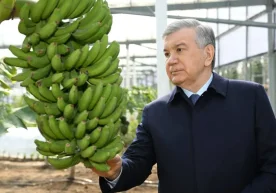 Ўзбекистон президенти Шавкат Мирзиёев Сурхондарё вилоятига