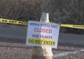 Алекс Бестлер ва унинг ўртоғи Аризона штати Usery Mountain