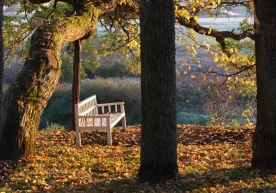 © Sputnik / Алексей Куденко 2024 йил ўз ниҳоясига етди.