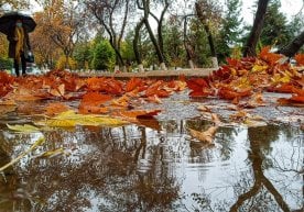 Ўзбекистонда бугунги илиқ об-ҳаводан сўнг, эртадан бошлаб
