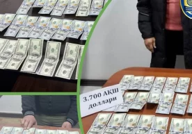 Фото: Иқтисодий жиноятларга қарши курашиш департаменти Бош
