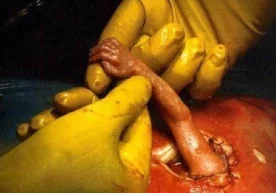 1999 йили ушбу ҳикоя бутун дунё аҳлини ларзага солди.