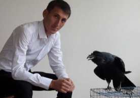 Қарғага 32 тилда гапиришни ўргатган ўзбекистонлик йигит оламдан ўтди фото