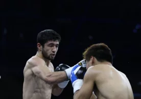 Профессионал бокснинг енгил (-61,2 кг) вазн тоифасида