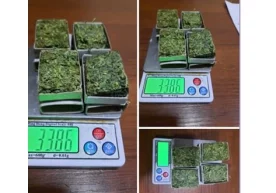Мамлакатимизда гиёҳвандлик воситаларини ўстириш, тайёрлаш,