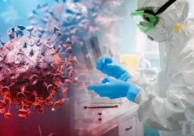 Reuters агентлиги берган маълумотга кўра, парранда гриппи