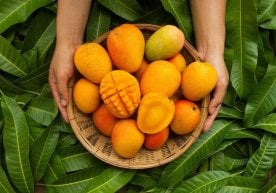 The Health Benefits of Mango and Its Impact on the Body фото