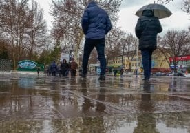 Тошкент шаҳрида атмосфера ҳавосини яхшилашга қаратилган