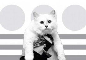Karl Lagerfeldning merosi mushugiga qoldi фото