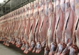 С 1 апреля по 1 августа 2026 года из государственного