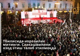 Тбилиси марказидаги Озодлик майдонида Грузиянинг ҳибсда