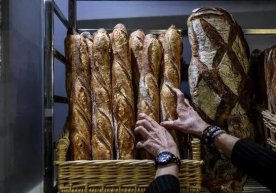 Европадаги инфляция тарихий максимумига етди: электр,