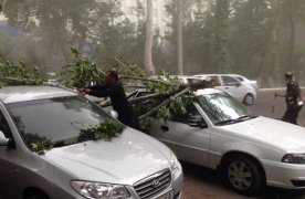 Эҳтиёт бўлинг! 14-15 май кунлари Ўзбекистонда кучли шамол кузатилиши айтилди фото